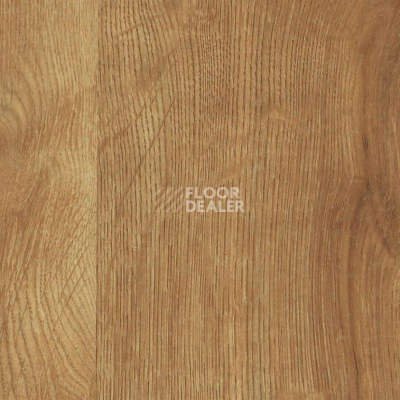 Ламинат Haro Daily Edition 8 mm 541346 Дуб Калла Натур фото 1 | FLOORDEALER